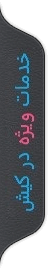 خدمات VIP
