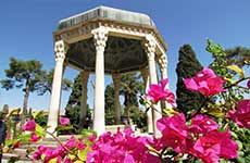 تور لحظه آخری شیراز