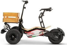 اجاره موتور MAD TRUCK در کیش